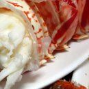 대박피시 이미지