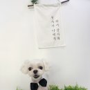 공주미장원 - 구미시 구미중앙로45길 22 | 공주미장원