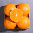 석희농장 이미지