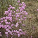 유전2리 이미지