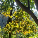 경상북도교육청 점촌도서관 가은분관 이미지