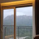 소노펠리체 델피노 이미지