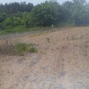 경남탑공인중개사사무소 이미지