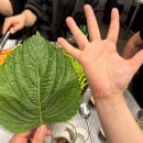 고기삼킨냉면 | 화곡역 맛집 [목구멍] 화곡점 솥뚜껑 불판에 직원이 구워주는 고기 찐맛집 내돈내산