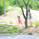 개나리꽃민박 이미지