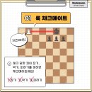 체크메이트 룩 이미지