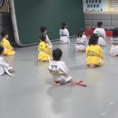팡팡태권도장 네이버블로그