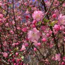 우리들농장(소) 이미지