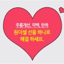 원더셀