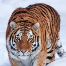 신내skv1공인중개사사무소 이미지