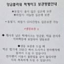 떡시루빵시루
