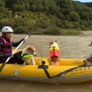 개밥주는 남자 이미지