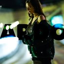 하이엔드 독 이미지