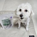 프레싯 (FRESHET) 이미지