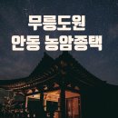 600년 전통의 안동 농암종택 명농당에서의 하룻밤