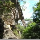 화담당 경화탑 이미지