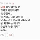 "율리아님 댓글건에 대하여" 이미지