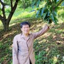 제명이 농장 이미지