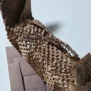 본자일 | 속건조 잡는 스킨토너 추천, 오하브 보타닉바이옴 토너 솔직후기