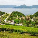 거제시종합운동장 이미지