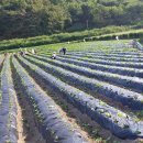 환이농장 이미지