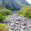 달마고도 이미지