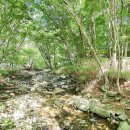 삼정야영장 화장실 이미지