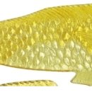 최강뽑기 이미지