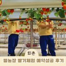 덕분농장 | 광주 퇴촌 아이랑 갈만한곳! 1분 컷 예약 전쟁 뜰농장 딸기체험 솔직 후기