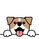 사송 동물 메디컬센터 이미지