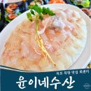 전남 목포 북항 회센터 횟집 현지인 맛집으로 유명한곳 윤이네수산 후기