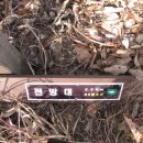 에코힐링투어