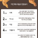 거기치킨 이미지