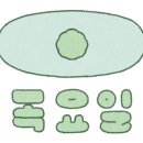 흰돌 스크린 골프 이미지