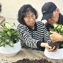 인지마을 이미지