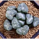 만상농장 이미지