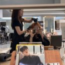 제인헤어 | 💇‍♀️순천신대지구미용실 모모제인헤어 염색 후기💛