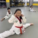 용인대행복한태권도장 이미지