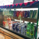 윤보스독스 이미지