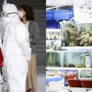 남성식당 이미지