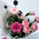 법원로3길 23 이미지