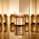 노블레스 스킨 이미지