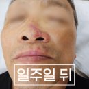 강동실비
