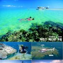 (주)자유투어 이미지