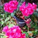 요셉의집 이미지