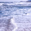 법원중앙외과의원 이미지