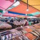 나루터바다PC랜드 | 목포순희의 생선카페 알아보기