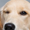 더봄동물병원 이미지