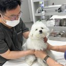 활기찬동물병원 뉴시스