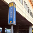 기건선생묘 및 신도비 이미지